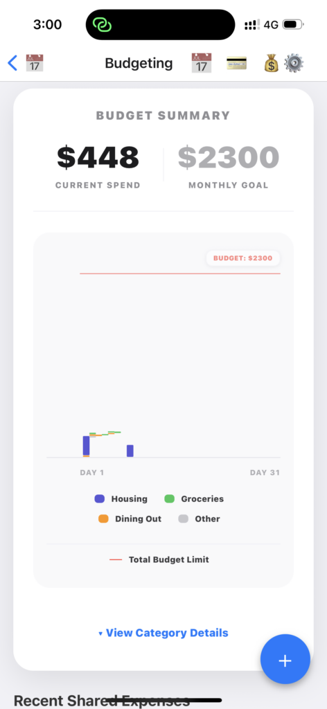 Budget Tracking